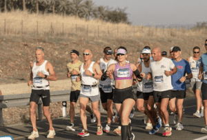 Read more about the article ראש לשועלים, זנב לאריות או זאב בודד